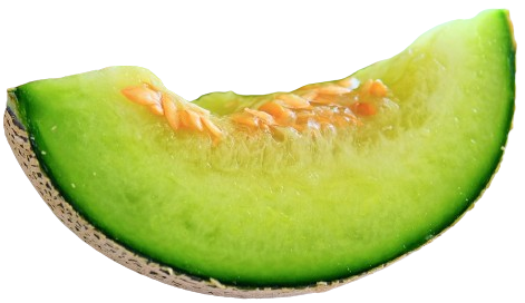 Melon