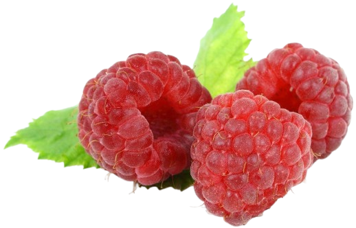 Raspberry